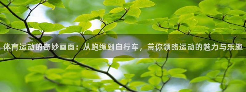 oety欧亿体育官网下载平台APP:体育运动的奇妙画面:从跑