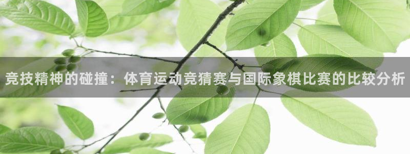 oety欧亿体育官网下载平台注册:竞技精神的碰撞:体育运动竞