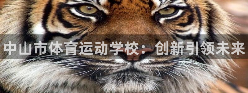 oety欧亿体育官网下载是干嘛的公司:中山市体育运动学校:创