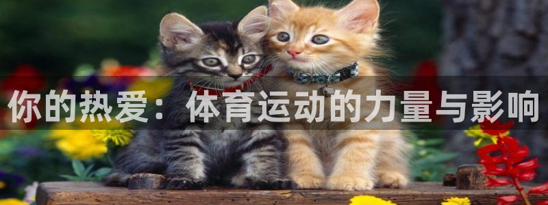 oety欧亿体育官网下载招商电话是多少啊:你的热爱:体育运动